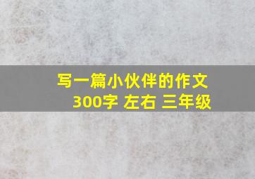 写一篇小伙伴的作文 300字 左右 三年级